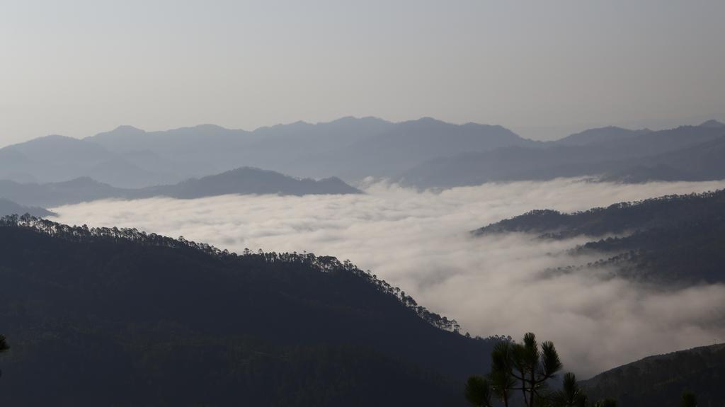 Ram Singh Mehra Guest House Almora Eksteriør bilde